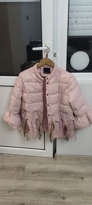 Пролетно яке, розов цвят