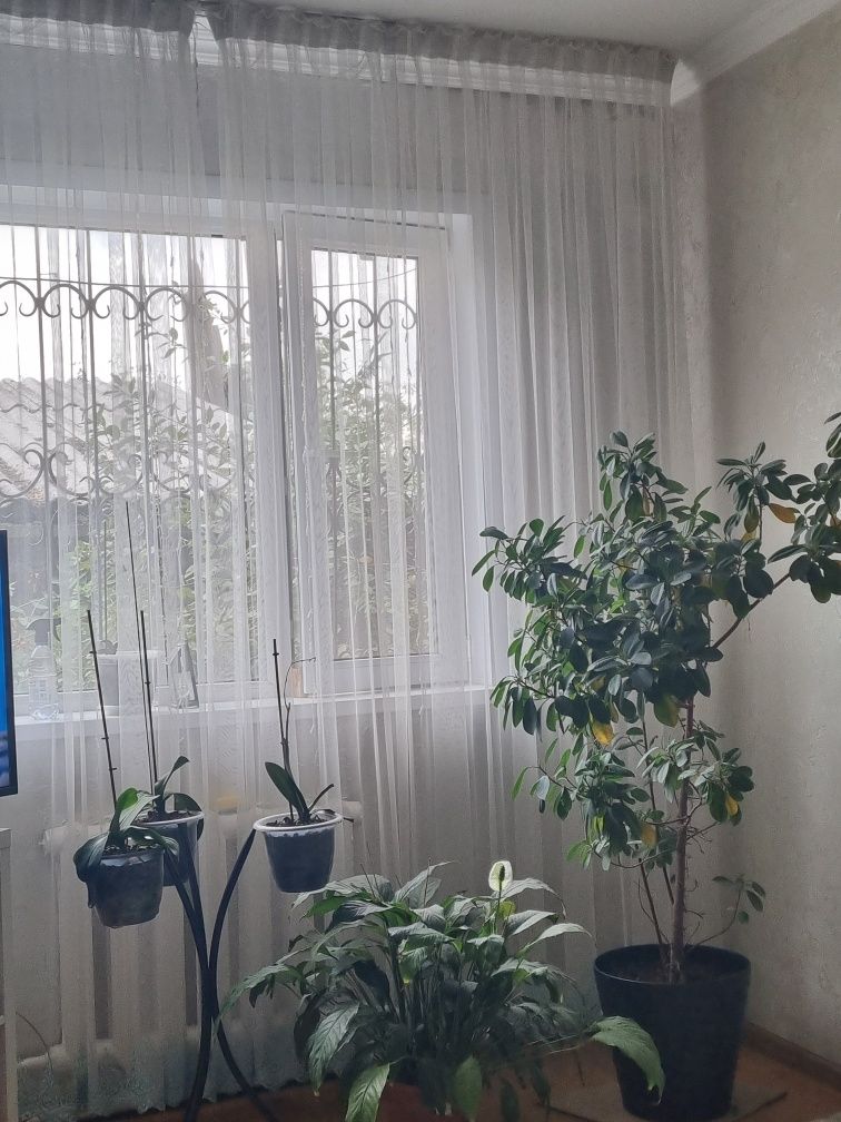 Продам тюль очень красивую
