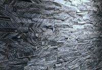 Piatra naturala/piatra decorativa interior/panel Zebra 15x60 cm
