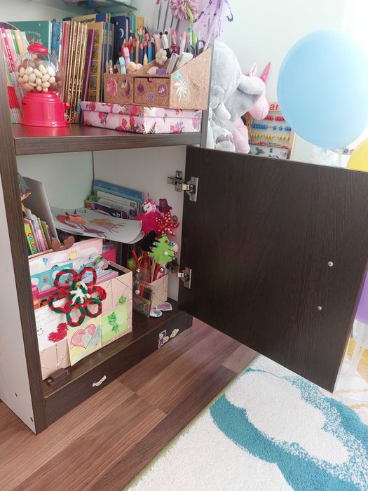 Biblioteca PAL, culoare Wenge