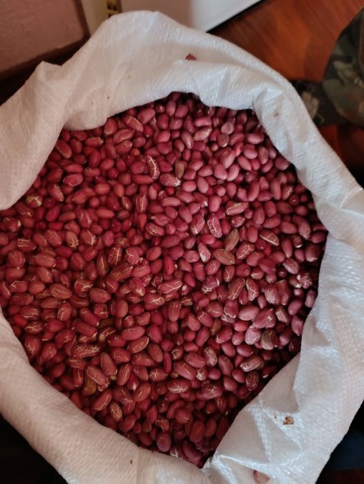 Фъстъци Калинка  България