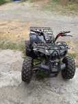 ATV Cargo FX 150