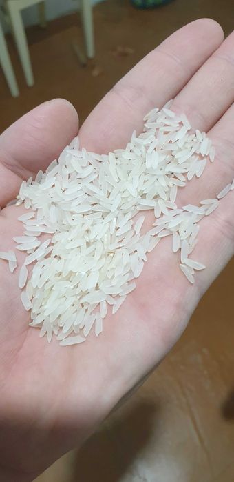 рис сорт лазер высшего сорта