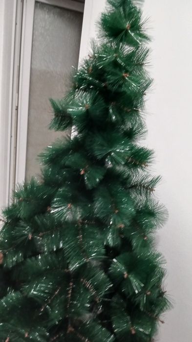Brad de Craciun 1.80m