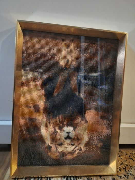 Picturi cu diamante la gata