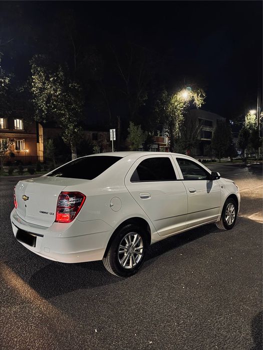 Cobalt 4paz 2022 tozza