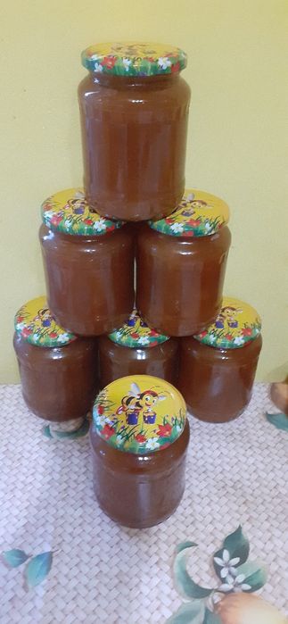 Vând miere poliflora, producție 2023