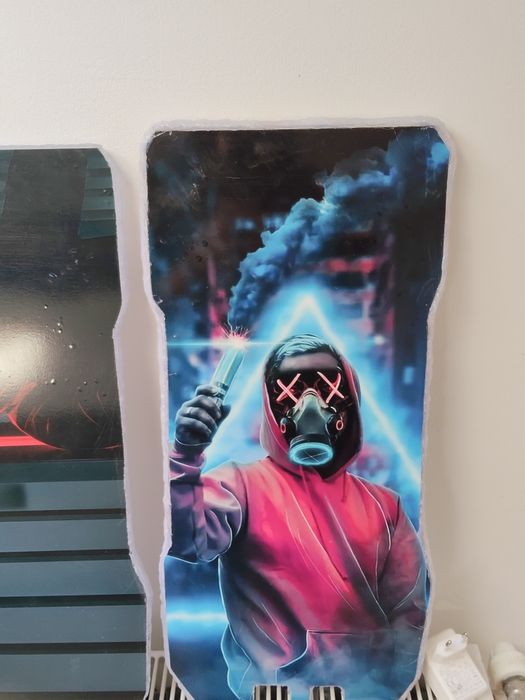 Placi Trotineta Electrica