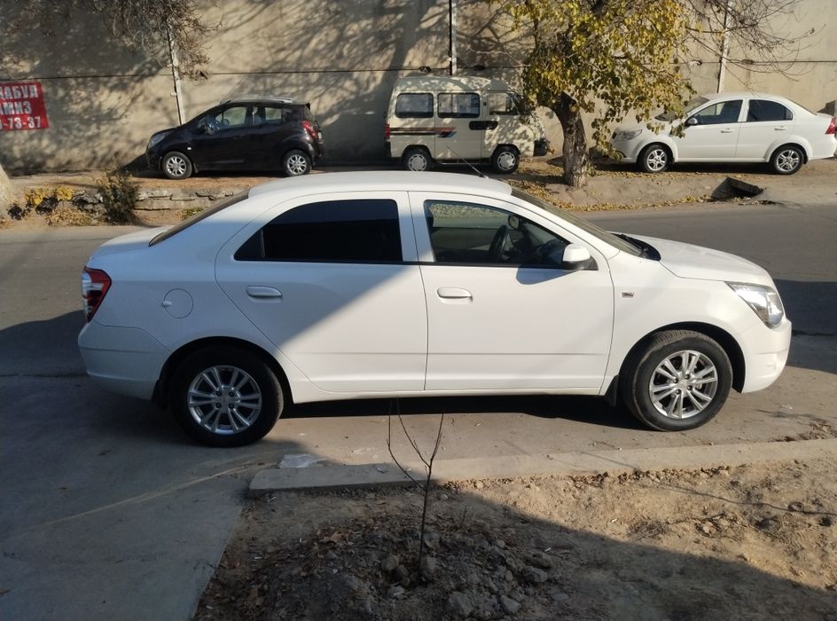 Cobalt 2022 gazi bor