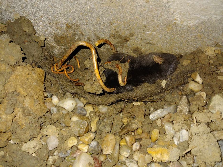 Capcane cartite                             .