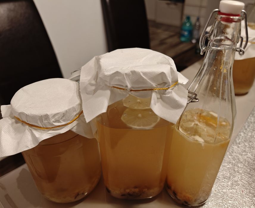 Kefir de lapte. Chefir de apă