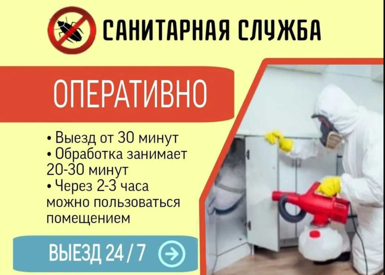 Дезинфекция Dezinfeksiya Уничтожение тараканов клопов Дезинфекция