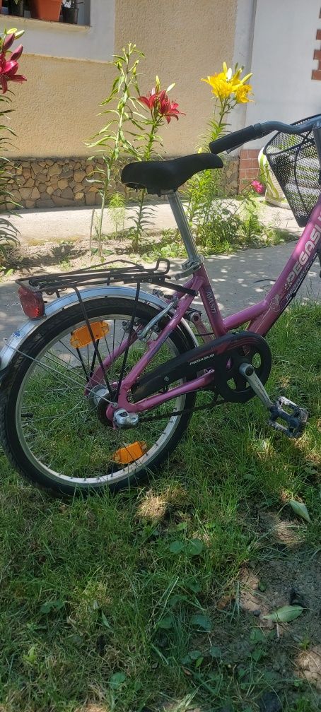 Bicicletă fete Pegasus