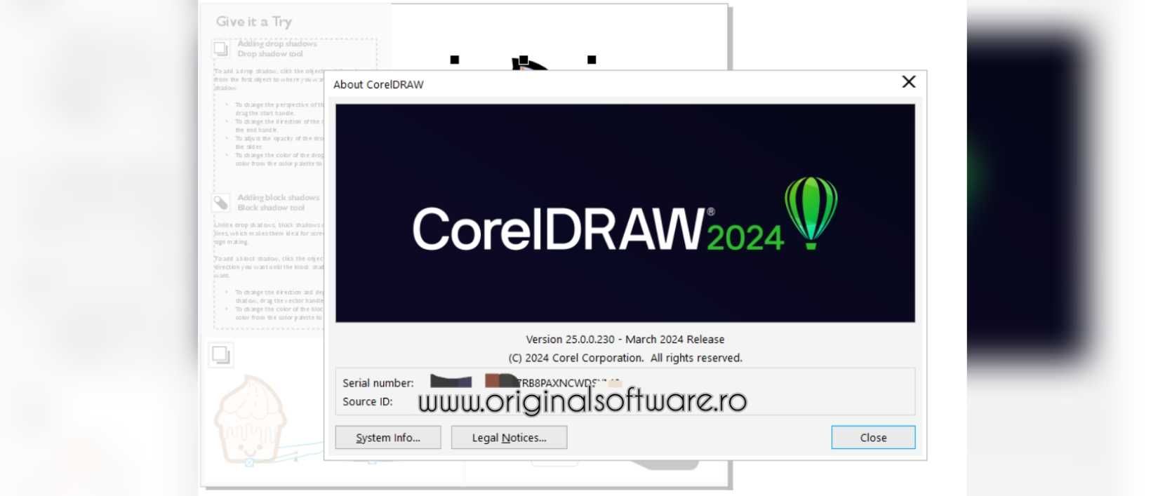 CorelDRAW Graphics Suite key 2024 v25  licență