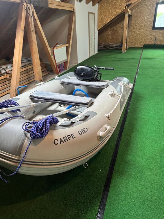 Barca Dinghy290 cu motor Mercuri 6 cp