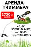 Аренда прокат инструментов триммер электрический 1000 ват 2 мм леска