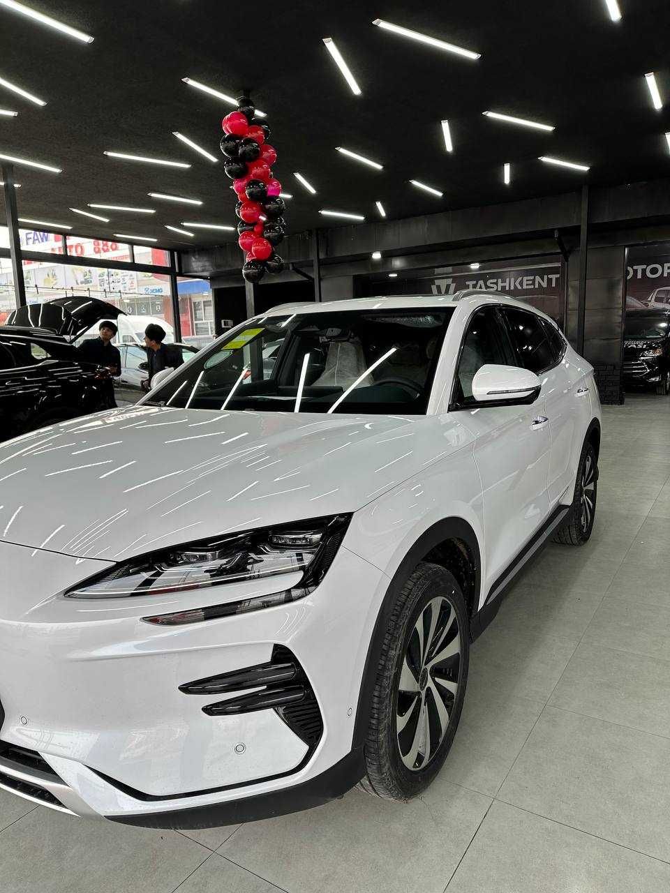 BYD song plus Champion