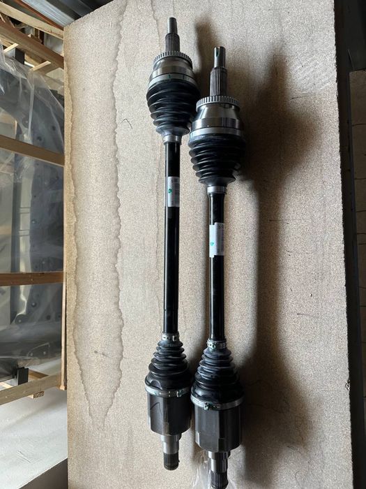 BYD chempion uchun