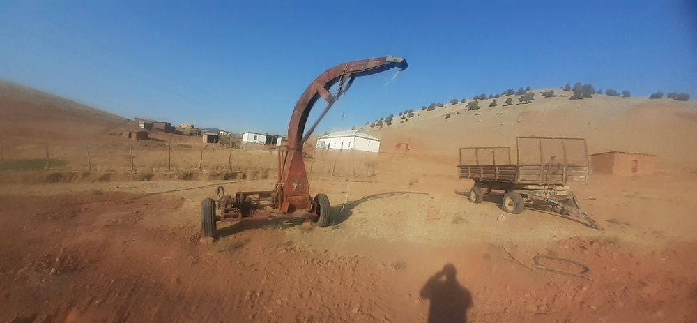 Kub, yaxshi xolatda turibdi