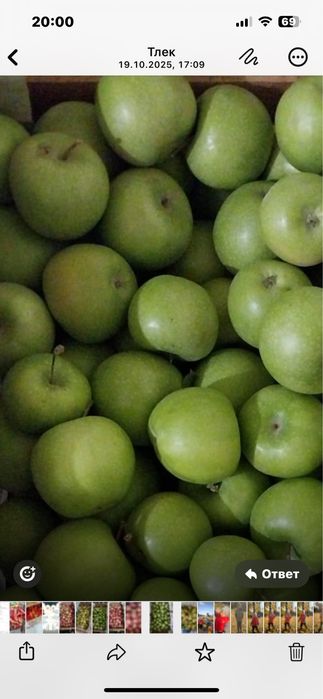 Яблоки и груши медким оптом