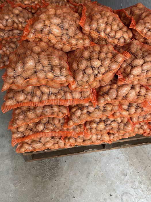 Cartofi consum proaspat