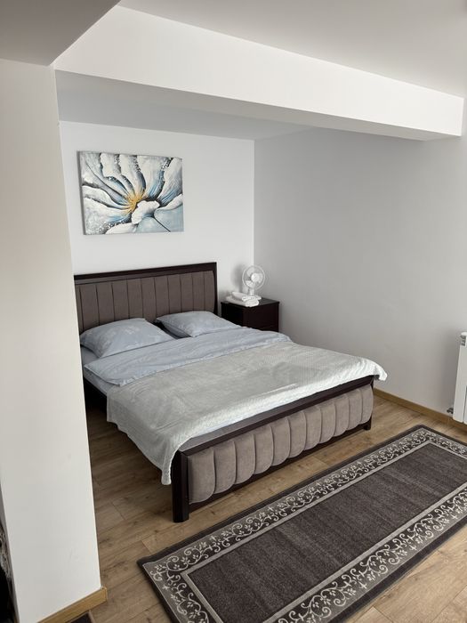 Inchiriez pensiune/cabana de revelion.