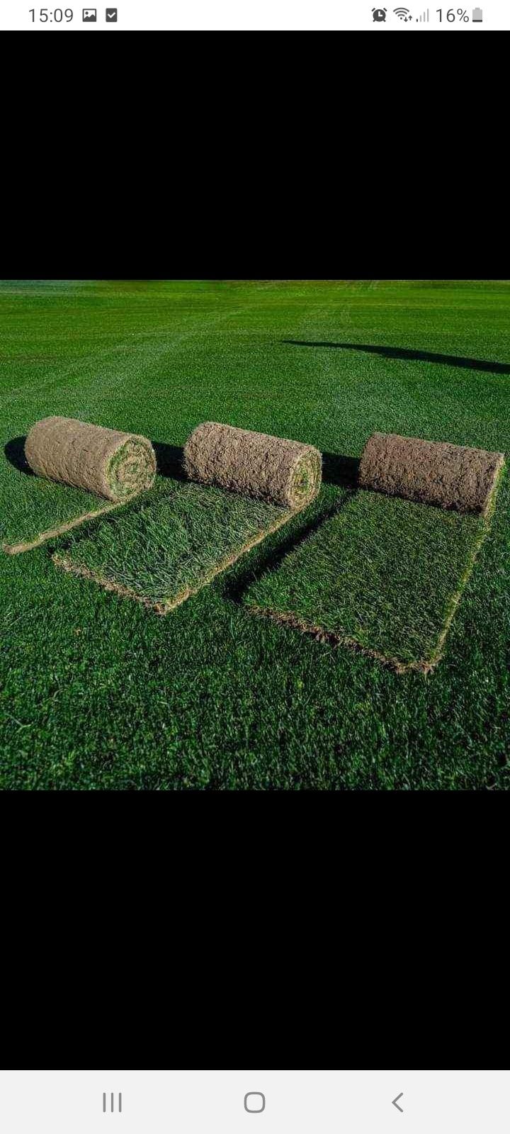 Gazon rulou și diferite plante ornamentale