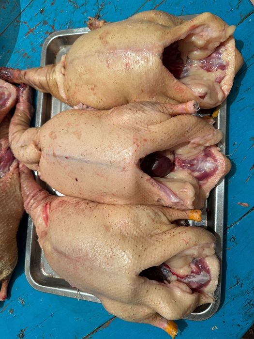 Продам птицу утки