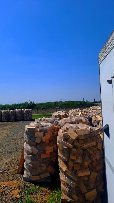 Lemne de foc fag tăiate și crăpate