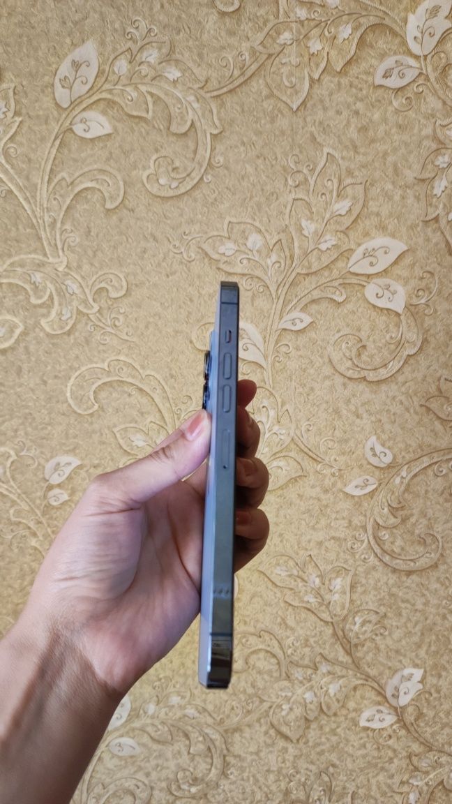 Iphone 13 pro max 256gb
