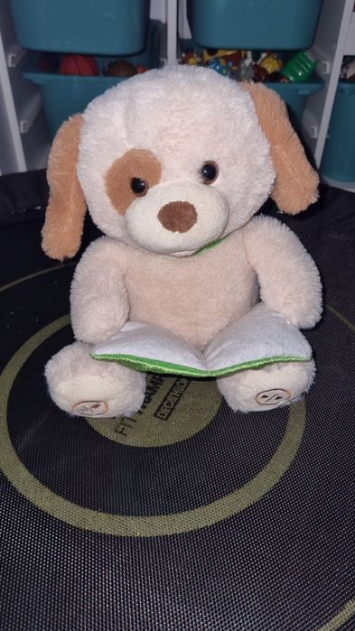 Catel interactiv care spune povesti lb engleza