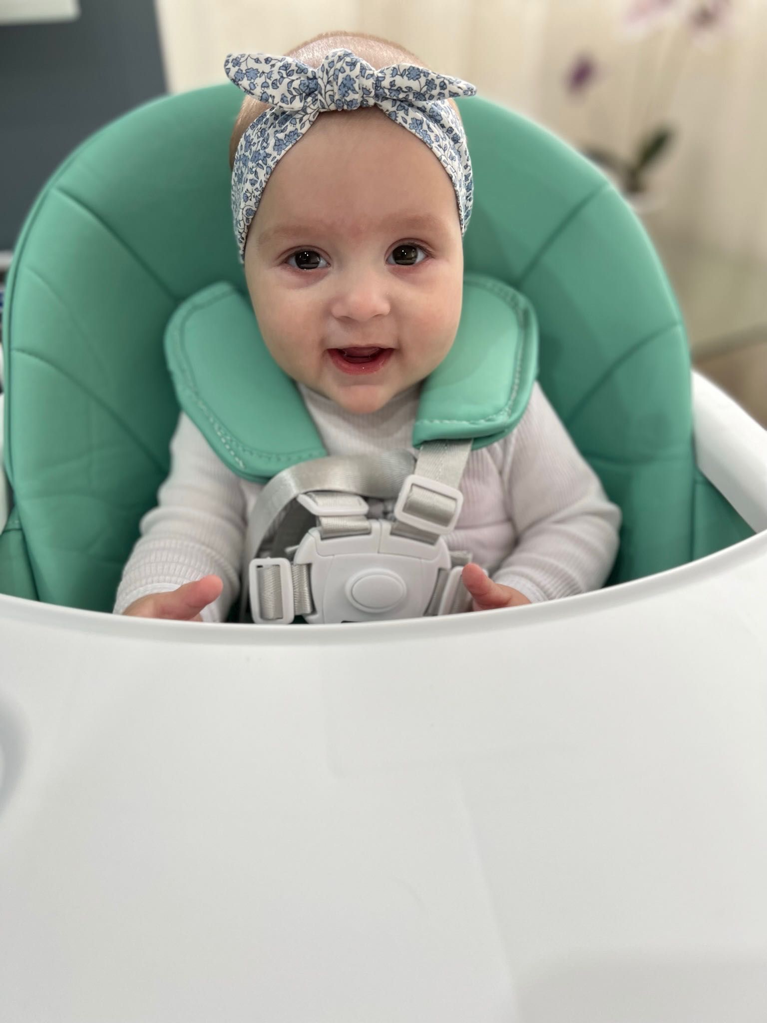 Scaune de masa bebe