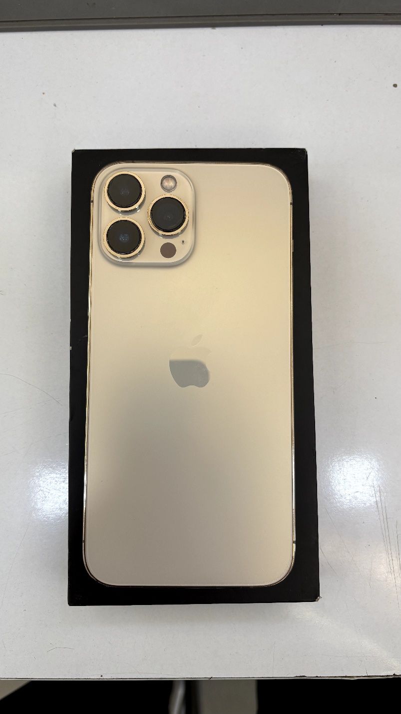 iPhone 13 Pro Max