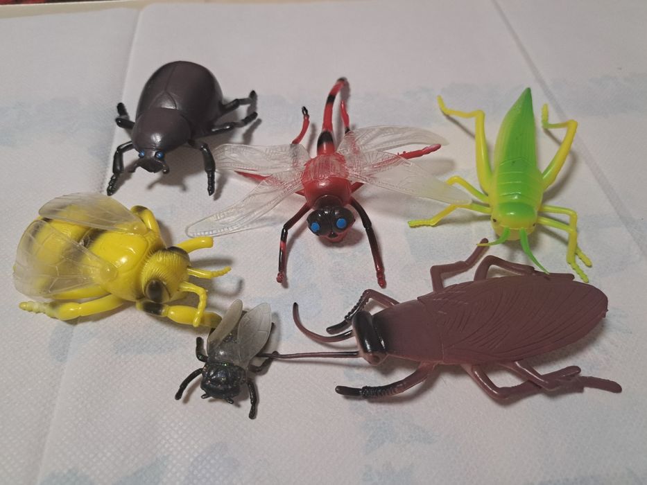 Seturi animale domestice ,sălbatice ,insecte ,etc