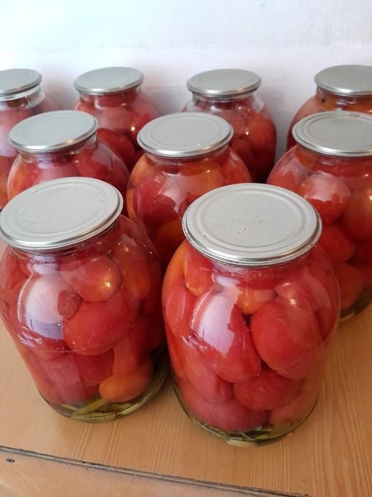 Помидоры консервированные, дачные.