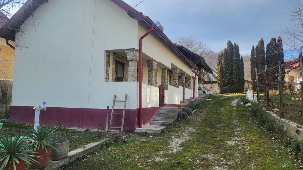 Două case cu mult teren