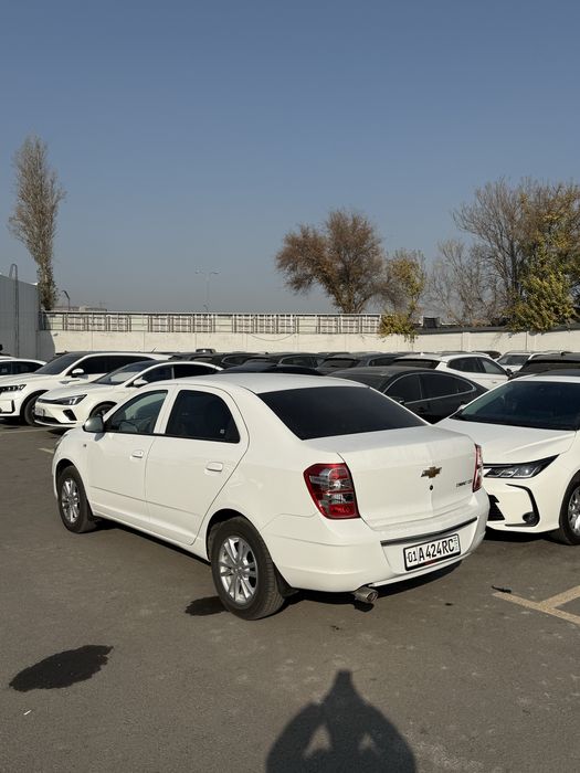 Cobalt 2024 top toza Gazli