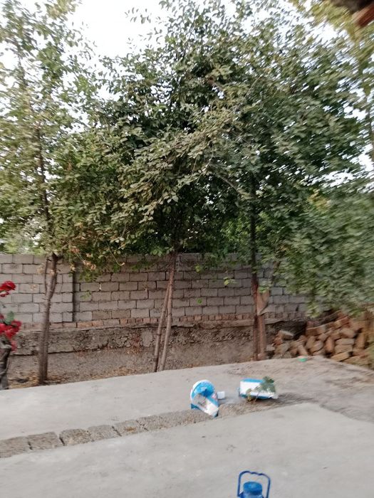 HOVLI 3 sotih 3 hona SOTILADI SVET, SUV, GAZ BOR 30,000 kelishiladi