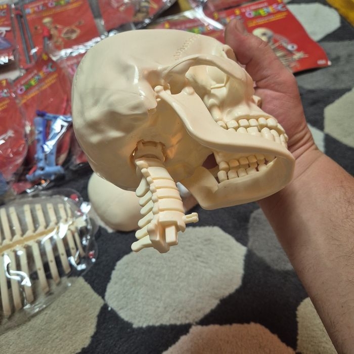 Colectie corpul omenesc