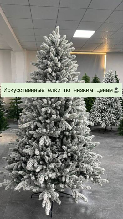 Елки на новый год