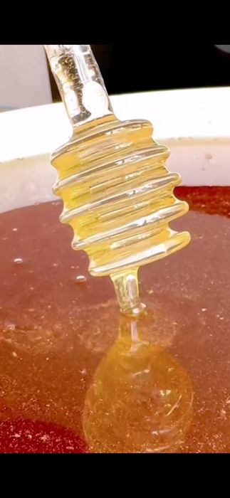 Продам мед с нашей пасеки