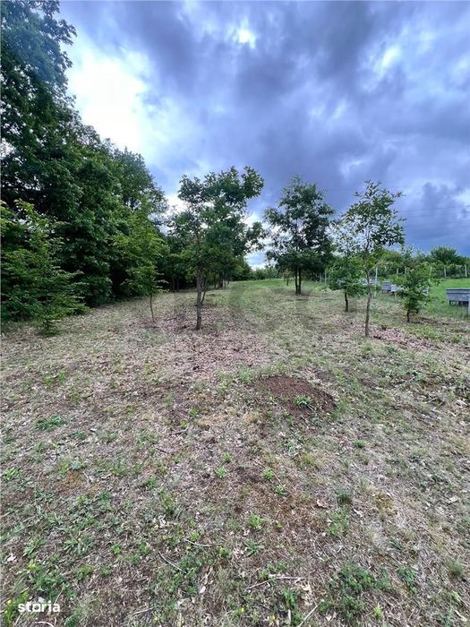 RECO teren de vanzare in zona Betfia