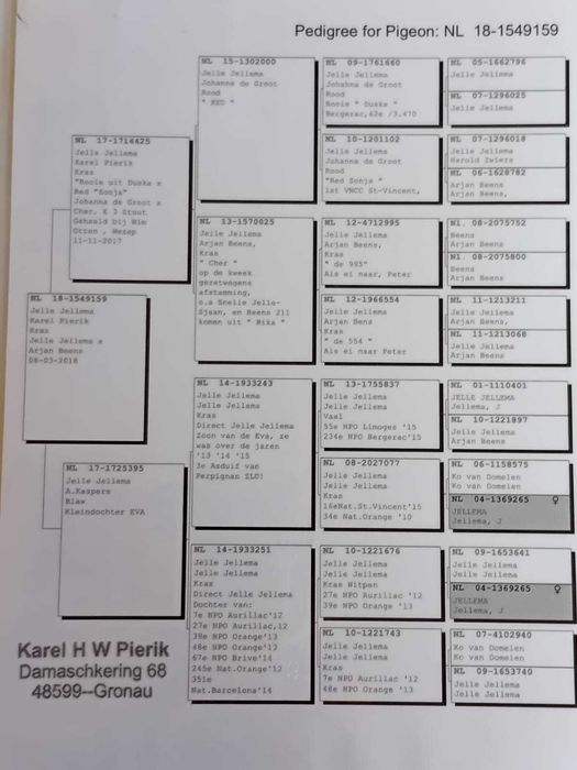 Vand porumbei din matca
