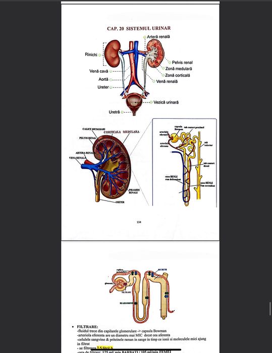 Admitere medicina