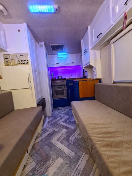 Rulota Elddis inmatriculata Ro