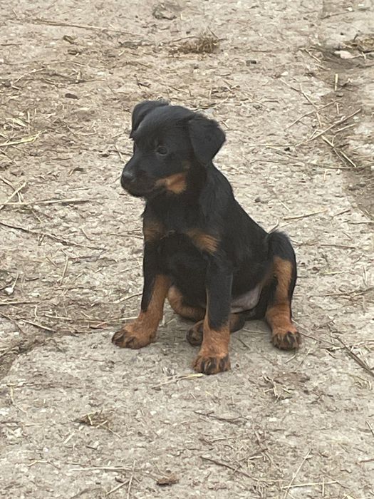 Bunaaa,cautam  o casuta noua