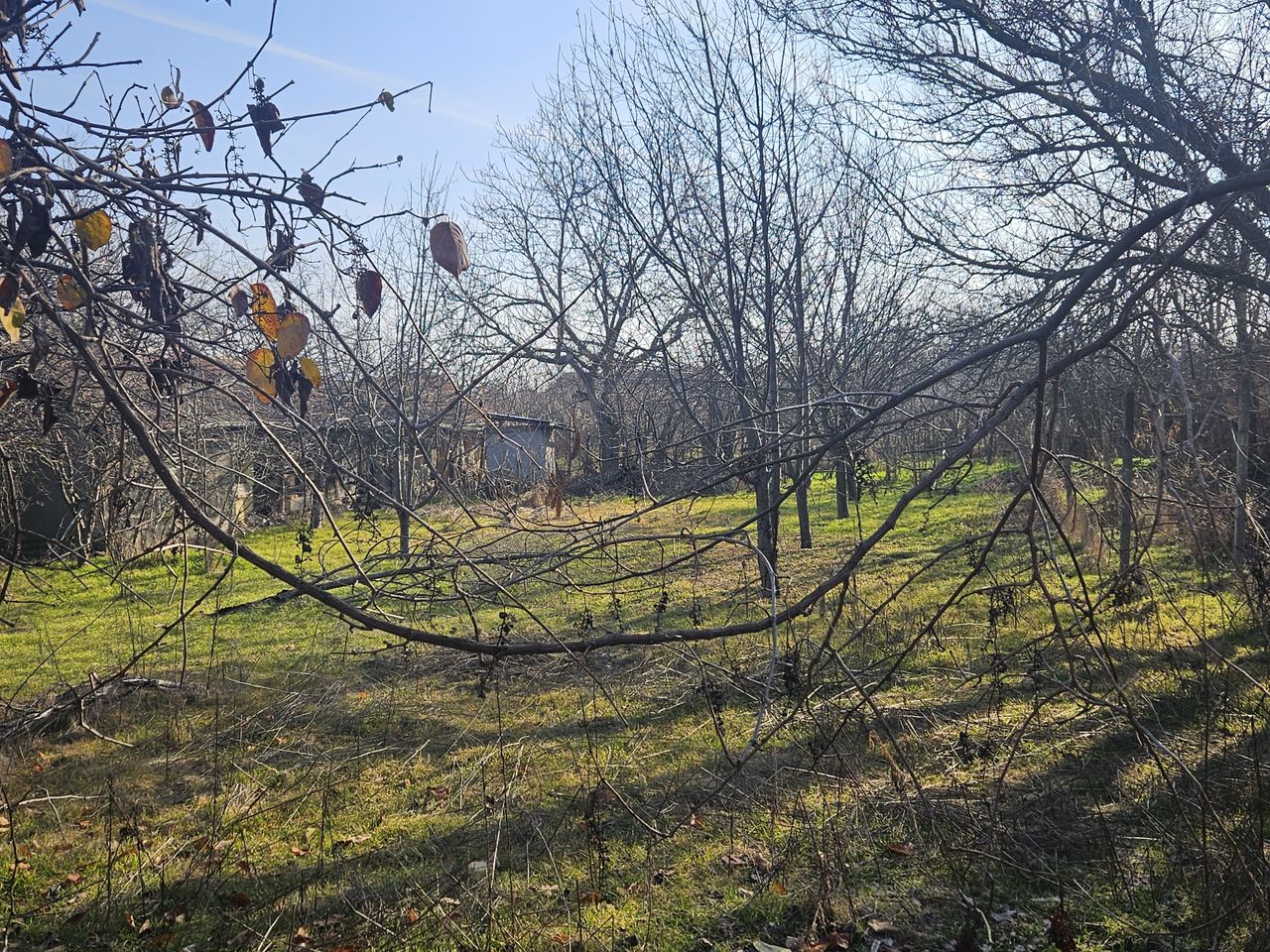 Продава се Къща в Славяново - 100 кв.м за 268 €/кв.м - Снимка #3