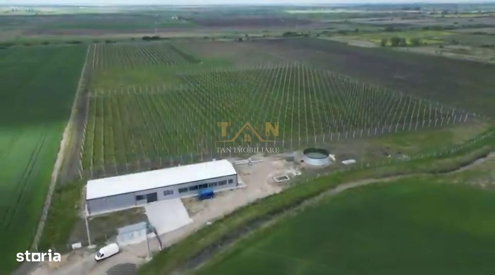 De Vânzare Afacere La Cheie ( ARAD)