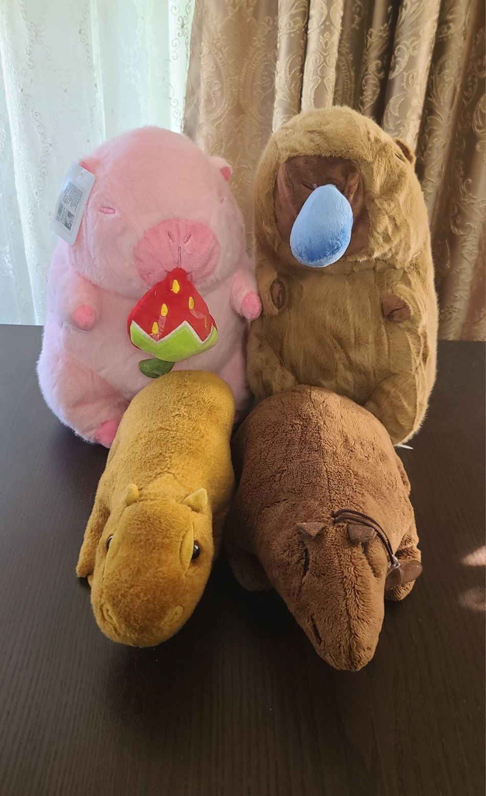 Plus capybara capibara