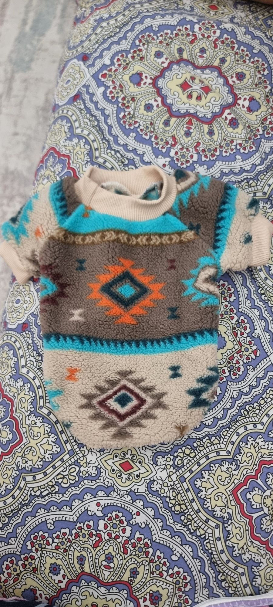 Одежда для кошек
